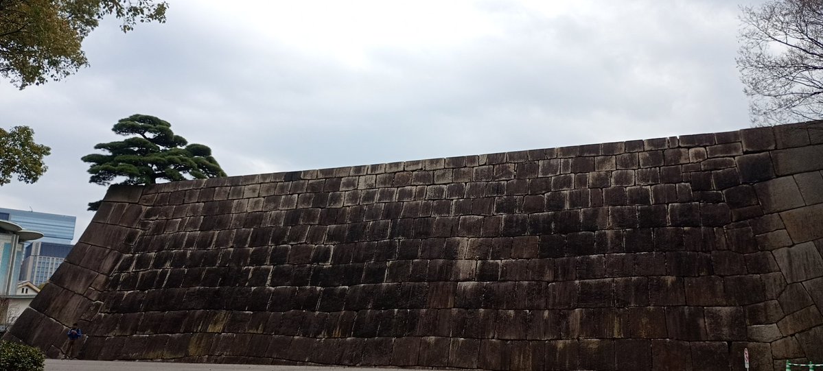 ちくわ　Chikuwa tweet media