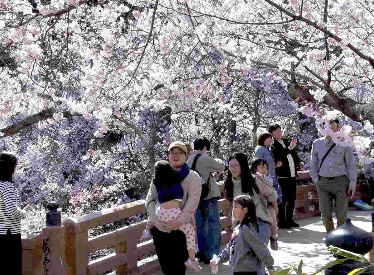 HM: Trip✈ tweet media