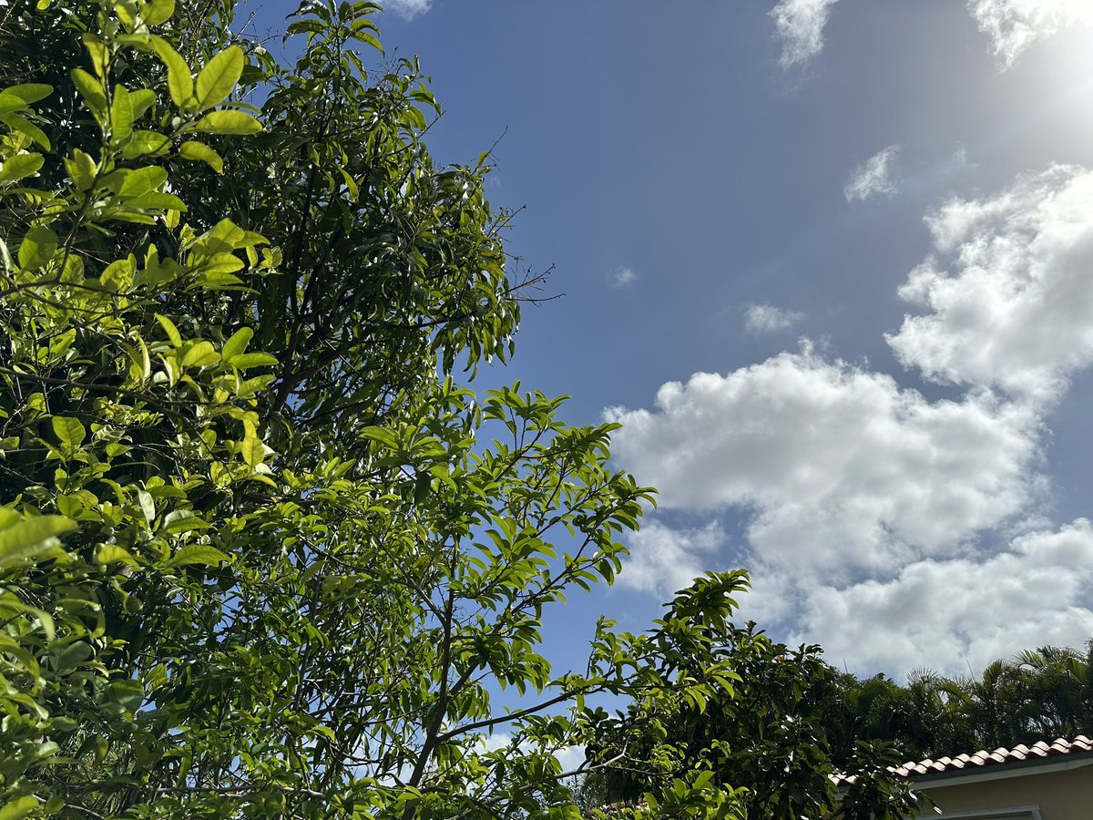 Major Angel Samurai Jones and Ichigo tweet media