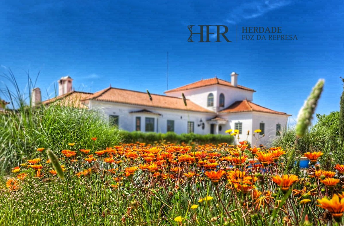 HerdadeFozdaRep's tweet image. Wines, Petiscos in a beautiful setting 

HerdadeFozDaRepresa.com 

#Wine #Petiscos