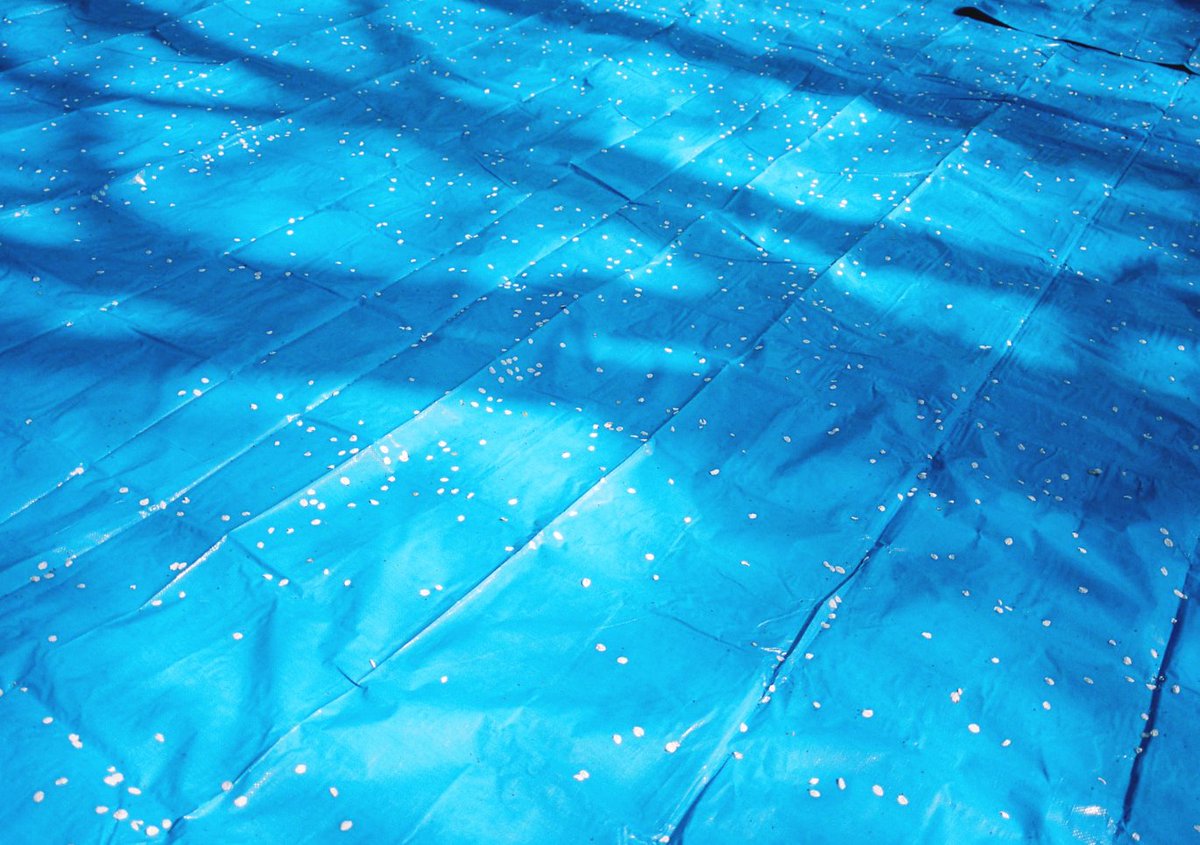 馬込将充 tweet media