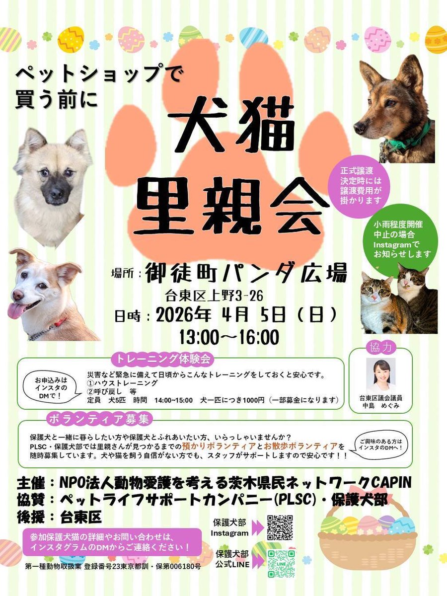 meguminakajima's tweet photo. 《information》
🐕 #犬猫里親会 #パンダ広場 🐈
明日です！😃
ぜひ遊びに来てくださいね🐼🩷

中島めぐみOfficialSite
https://t.co/NIEigARwJa

#立憲民主党 #中島めぐみ #台東区 #御徒町 https://t.co/lKMFbYhncL