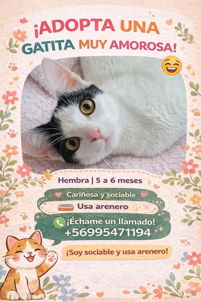 sailor fome 🌙 tweet media