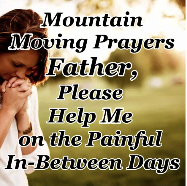 Deb Wolf tweet media