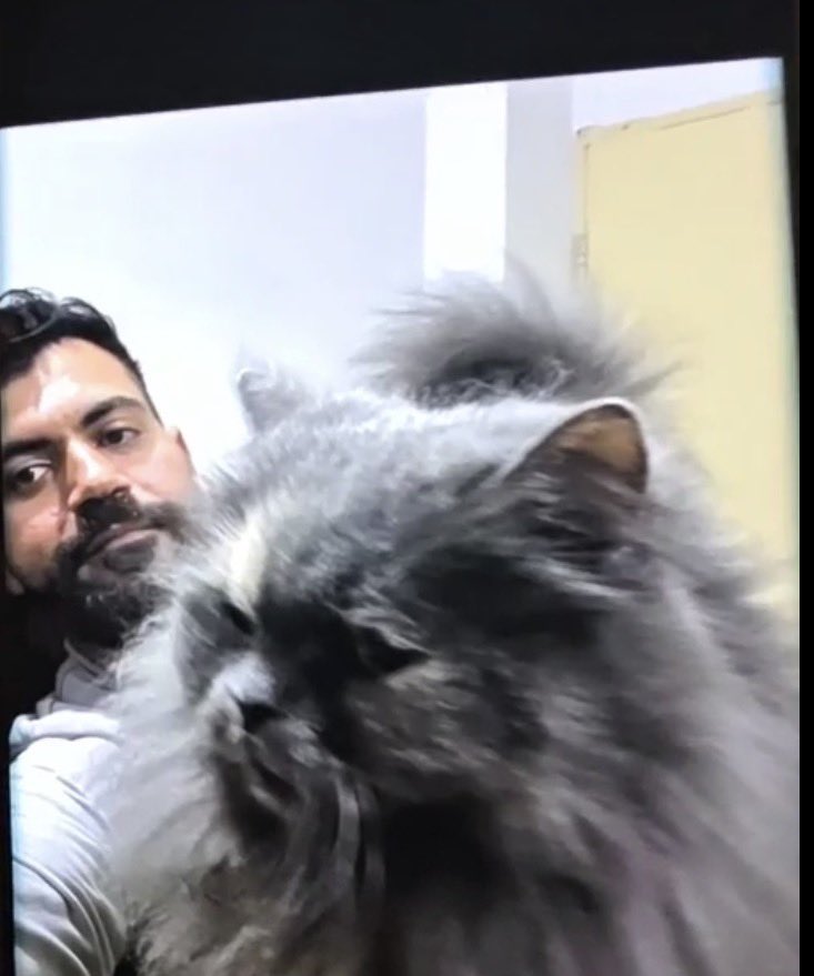 Raised Dactylion🥔Trauma Potato tweet media