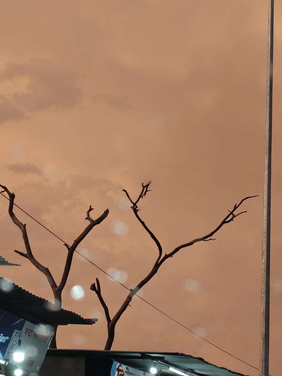 g 🪴🌧️ tweet media