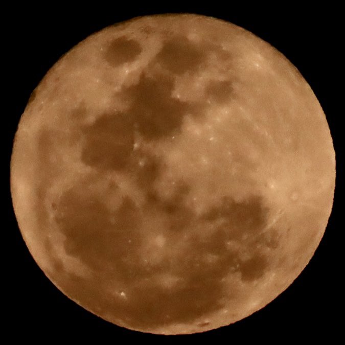 Rawin Ch🇹🇭Stand for ๑๑๒🇹🇭 tweet media