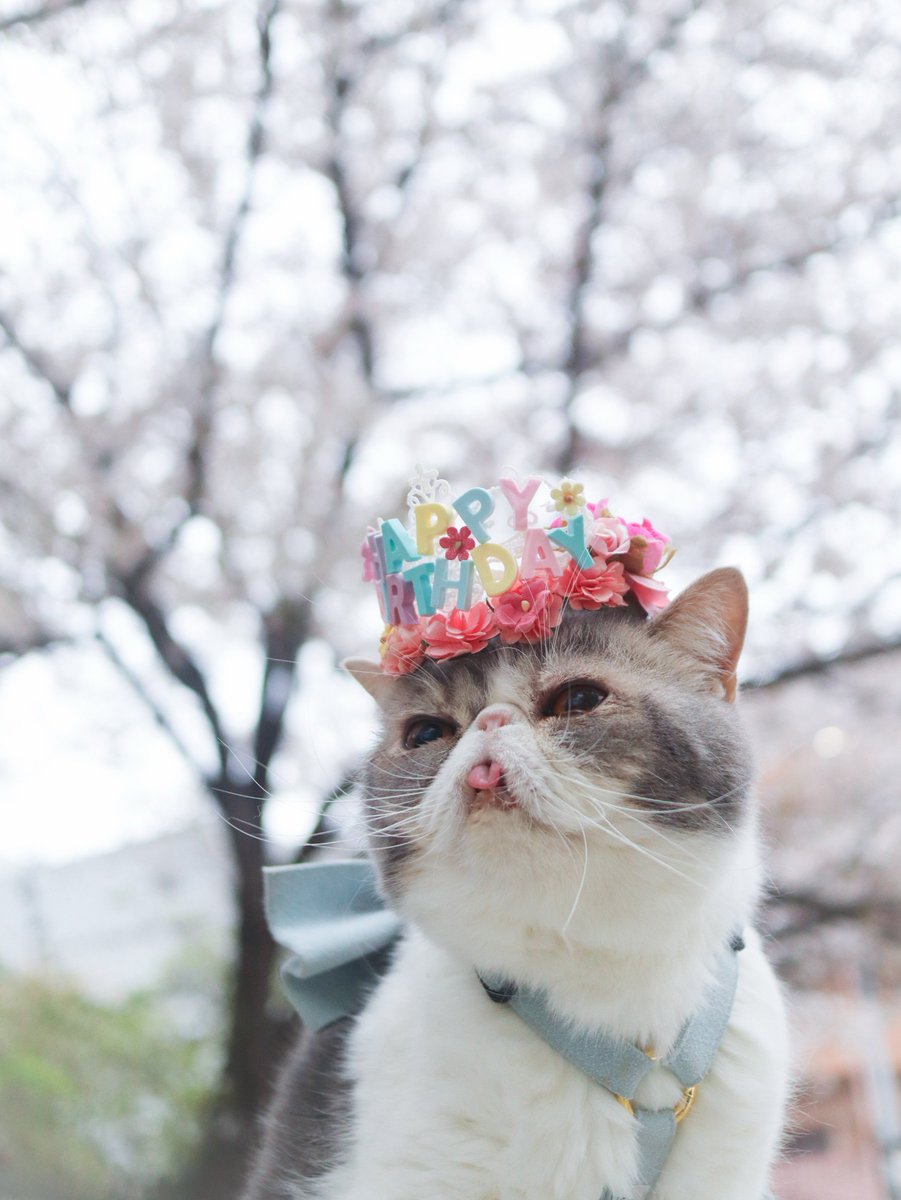 エキゾのポセイドン＆プロメテウス tweet media