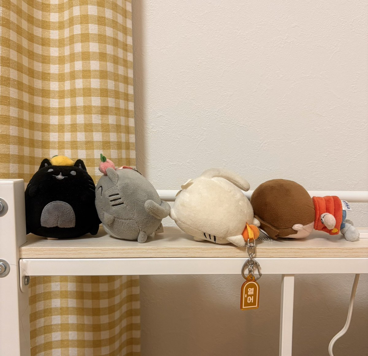 パュ子 tweet media