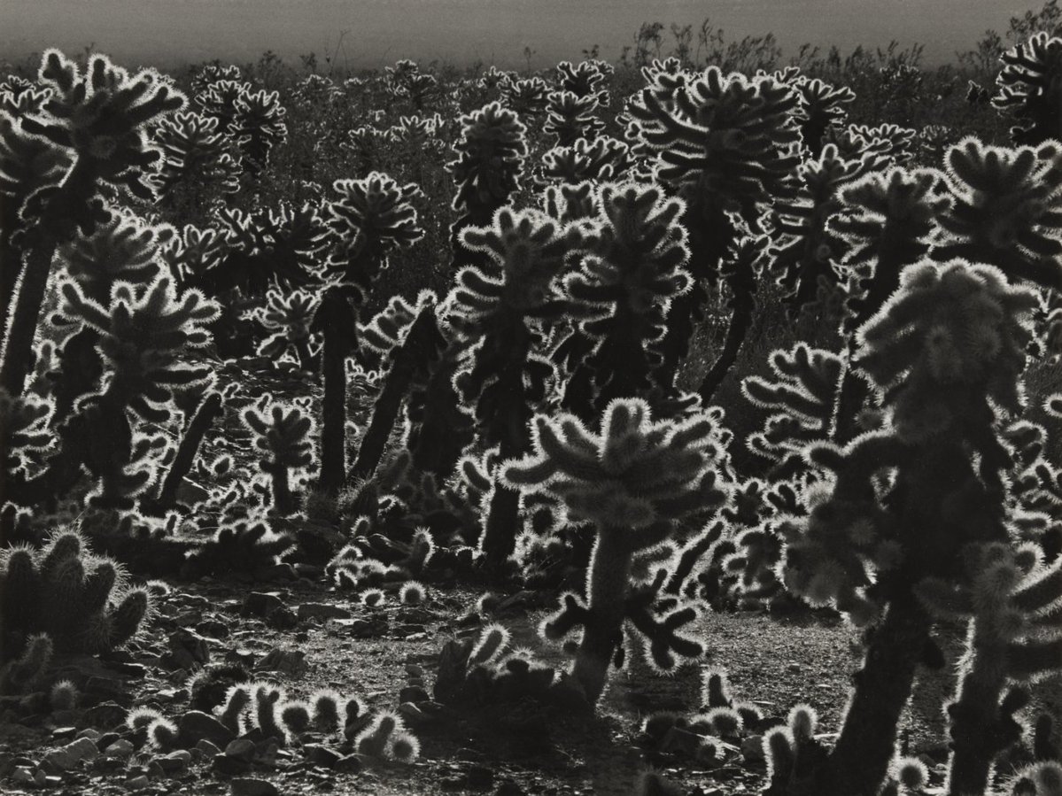 Oklahoma City Museum of Art tweet media