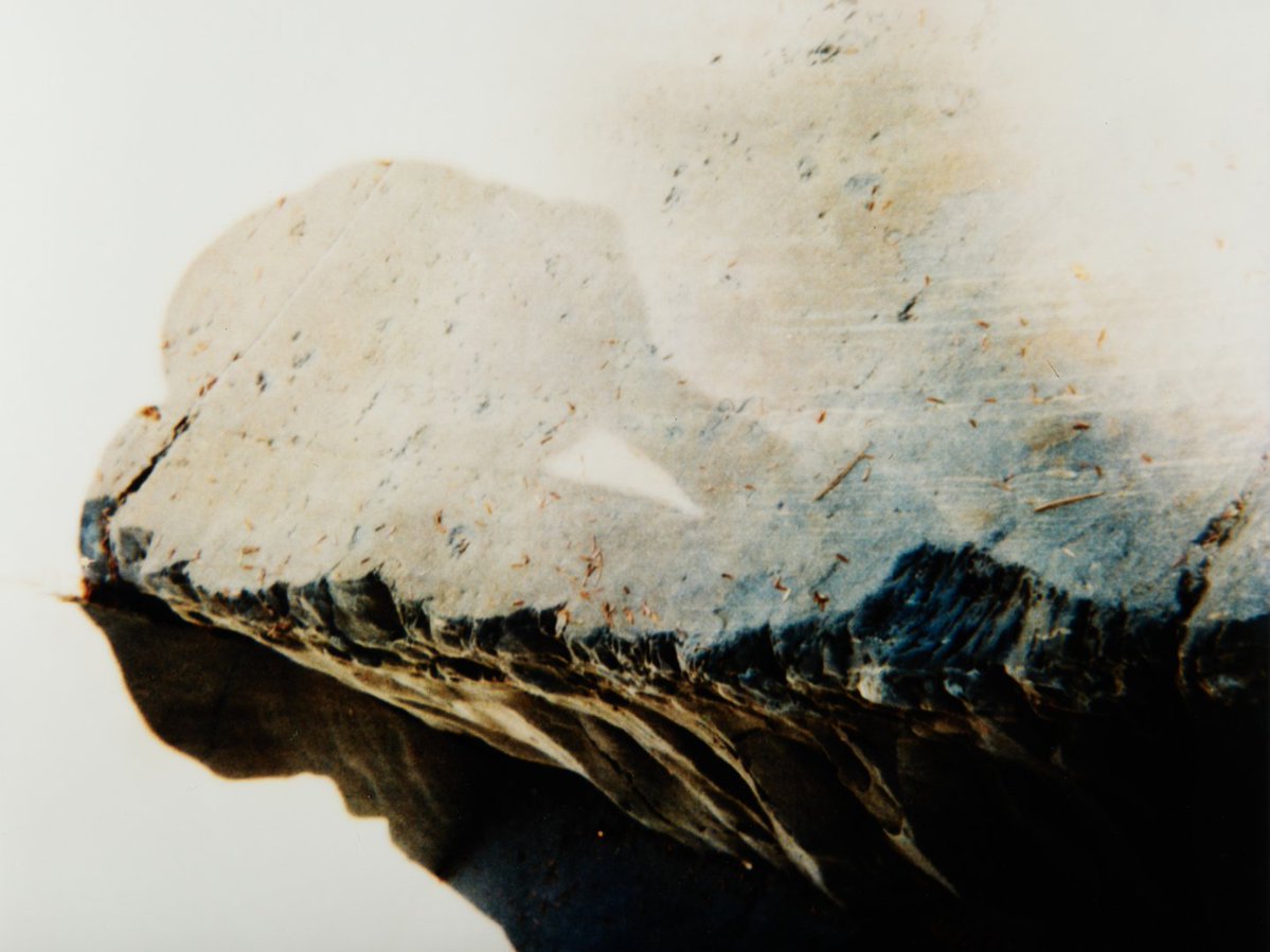 Oklahoma City Museum of Art tweet media