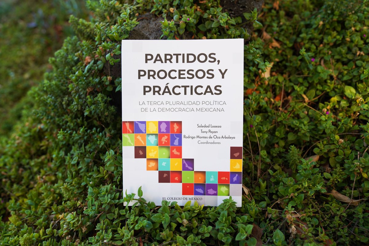 El Colegio de México tweet media