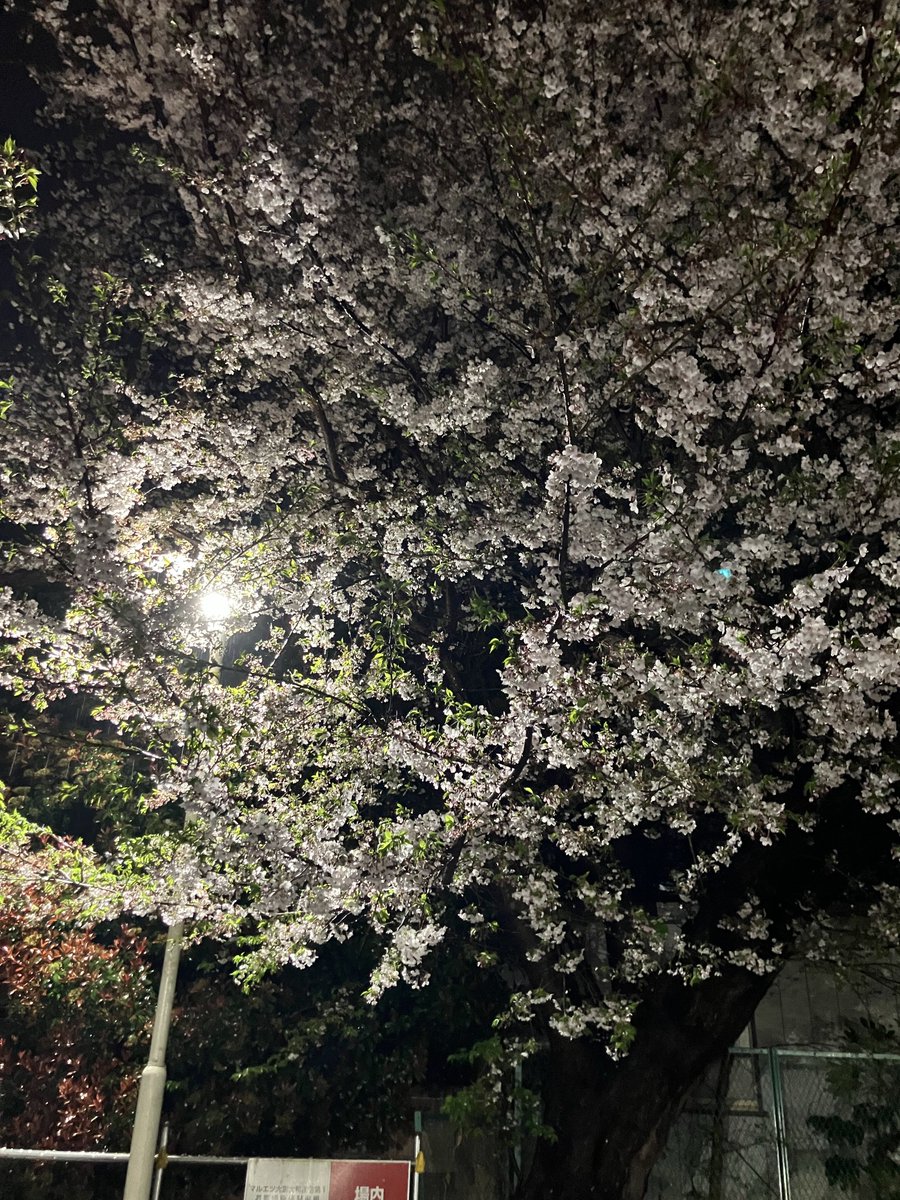 ろど　元サレ夫 tweet media