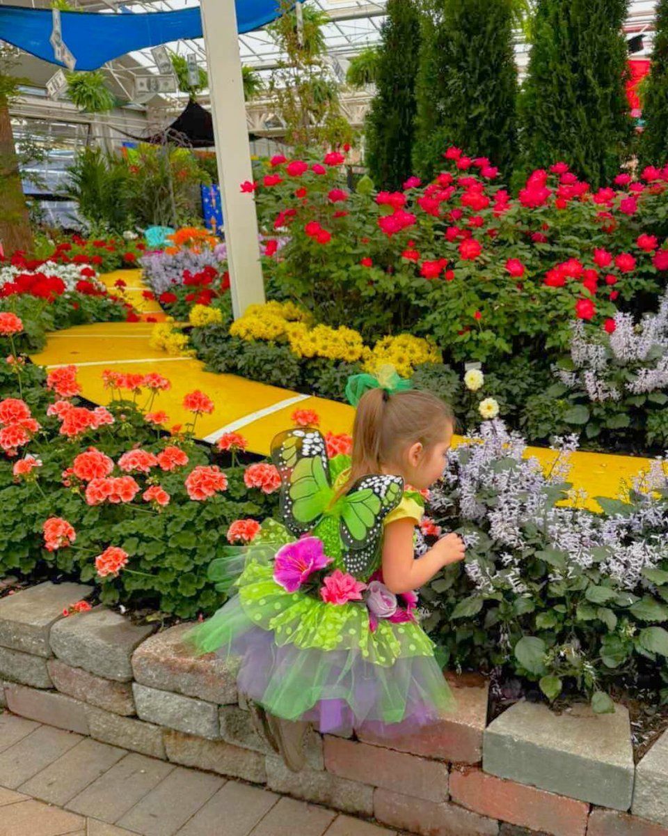 Hicks Nurseries tweet media