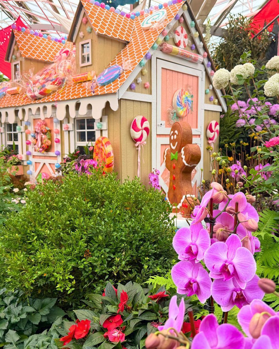 Hicks Nurseries tweet media