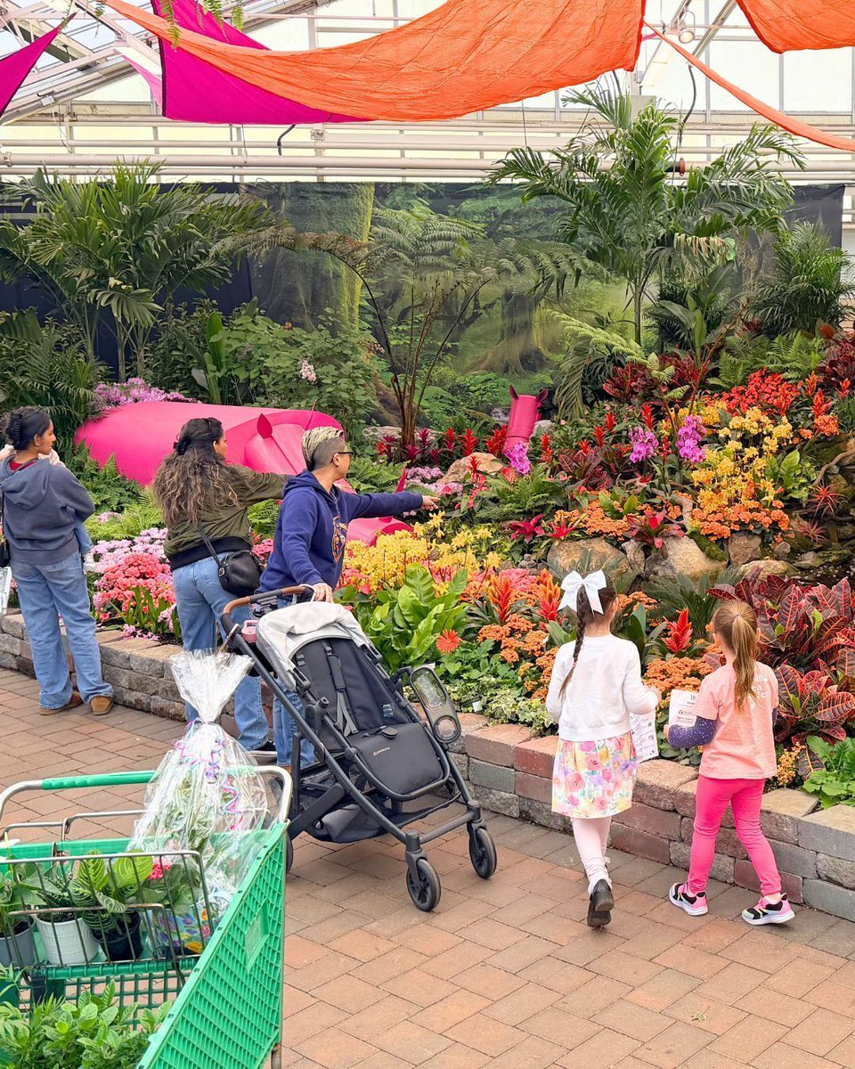 Hicks Nurseries tweet media