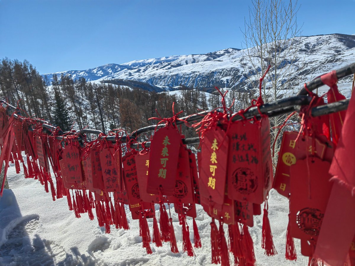 Coco1314 tweet media