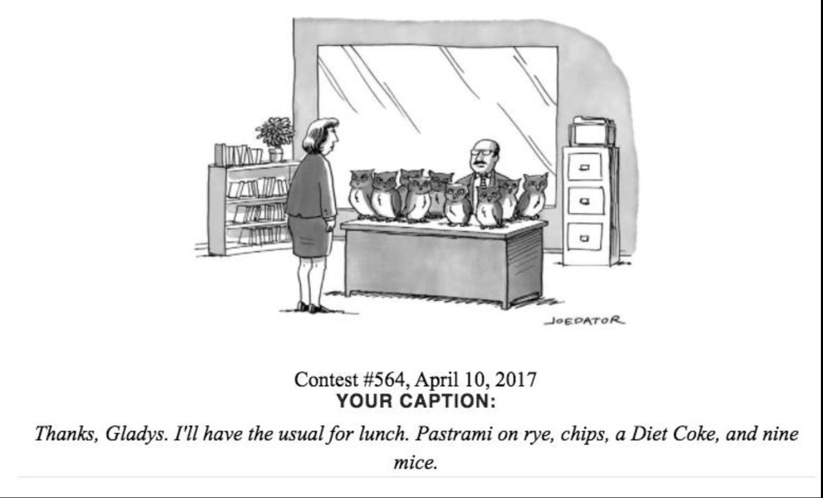 Michael Ledwith tweet media