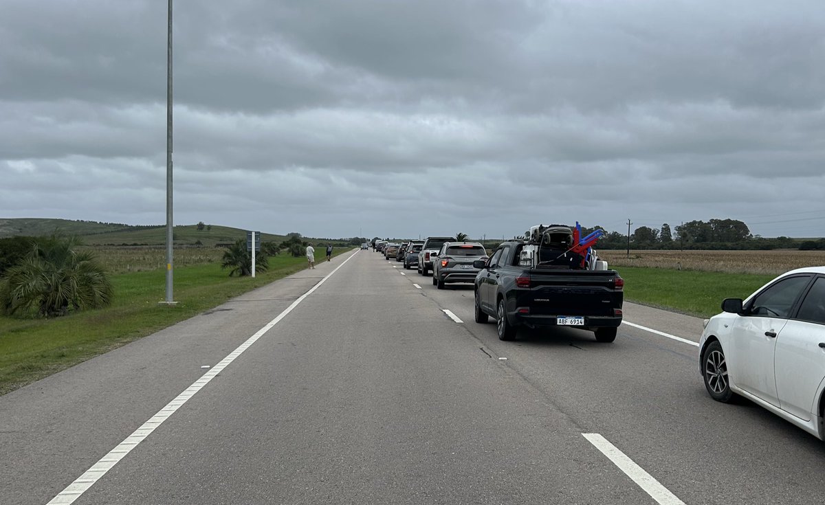 TararirasForExport® tweet media