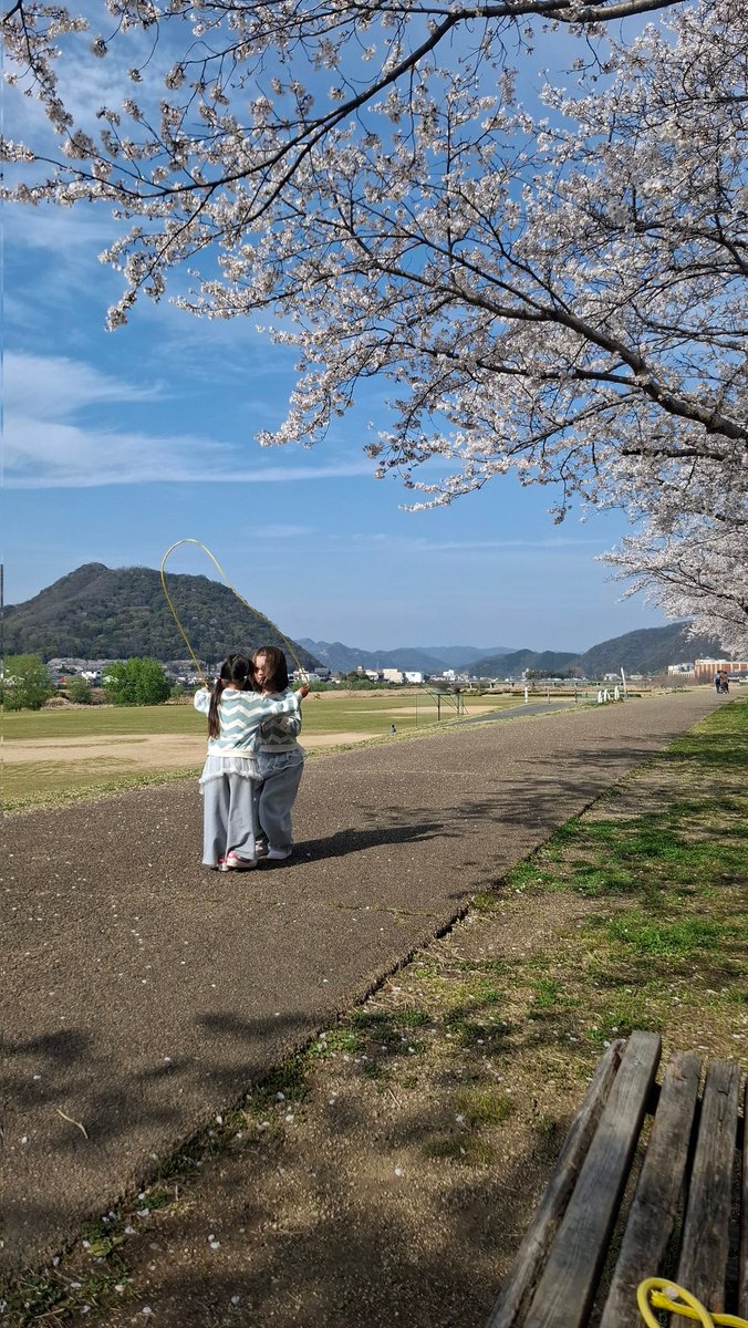 amnieru's tweet photo. 🌸🩷 https://t.co/yGi0RhkYve