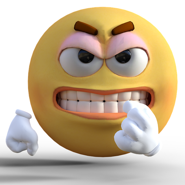 Molly Scott tweet media