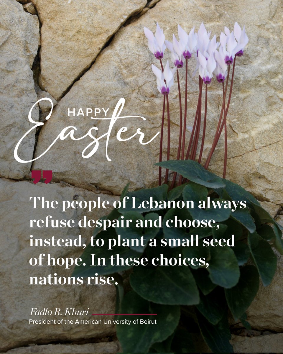 AUB Office of the President tweet media