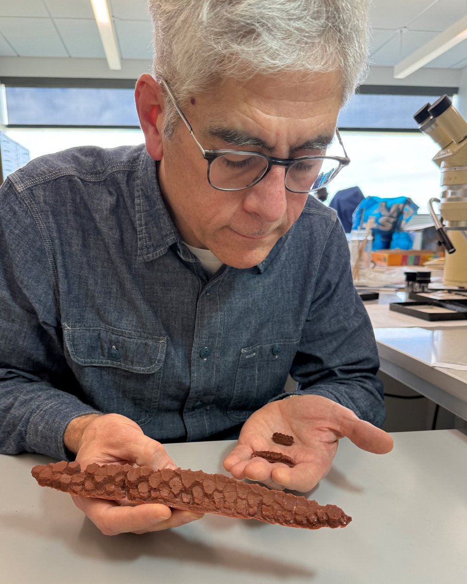 OhioStateNewark's tweet photo. Our very own John Hunter, PhD, was featured on the Voice of Excellence podcast with The Ohio State University College of Arts and Sciences!  
Listen now: https://t.co/EF39VzU5o0 https://t.co/UtmJxAnkVK