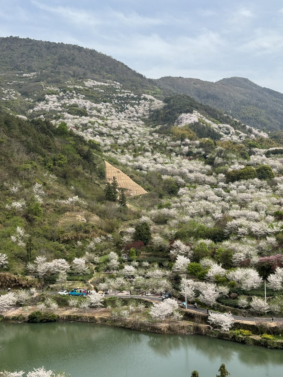 Dalloway18's tweet photo. 春城无处不飞花，嵊州不仅小吃好吃，乡村更美，春色三分，流水二分，臭豆腐一分。 https://t.co/wFe1siyL7x