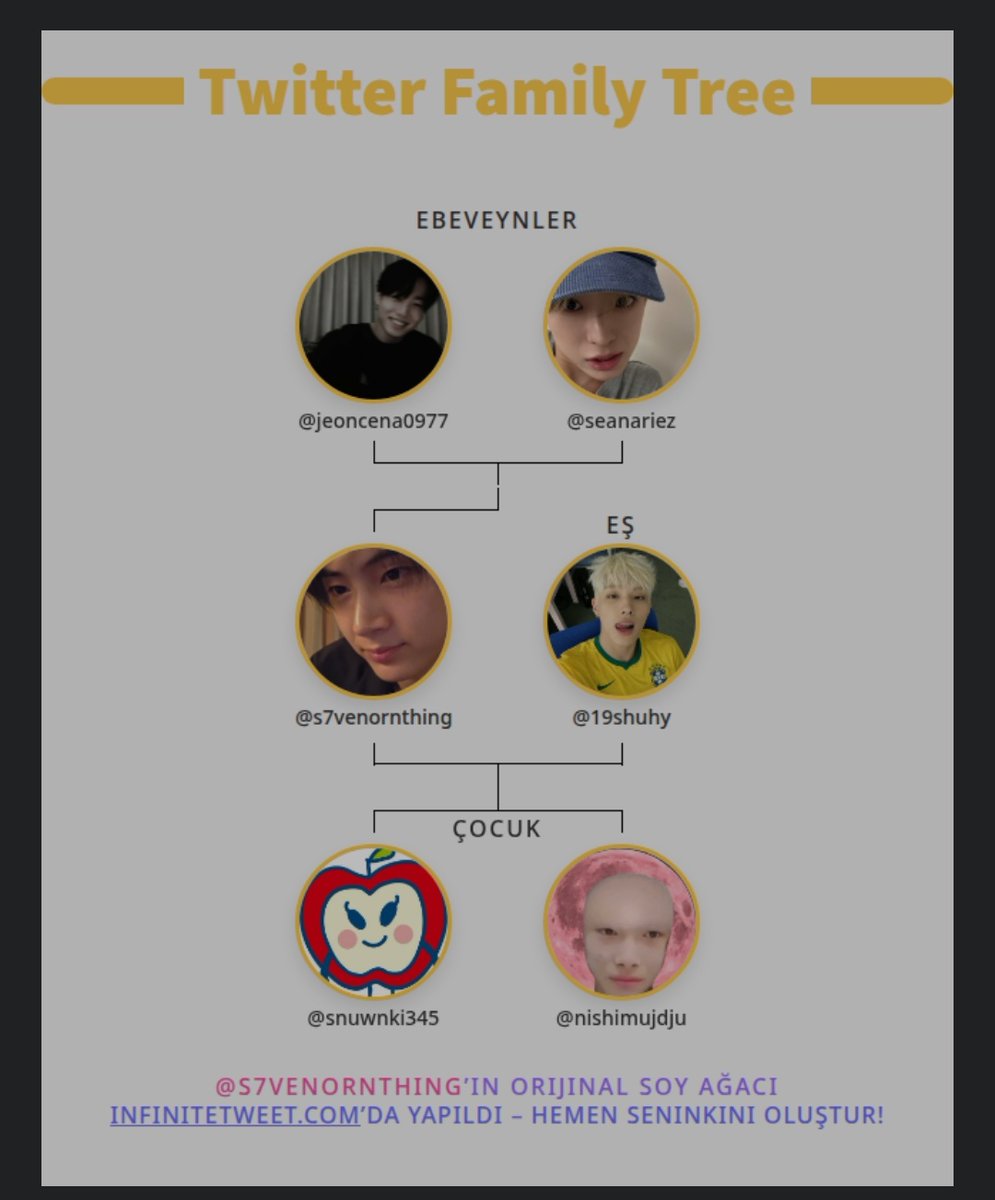 zeynep ENHYPEN IS 7 tweet media