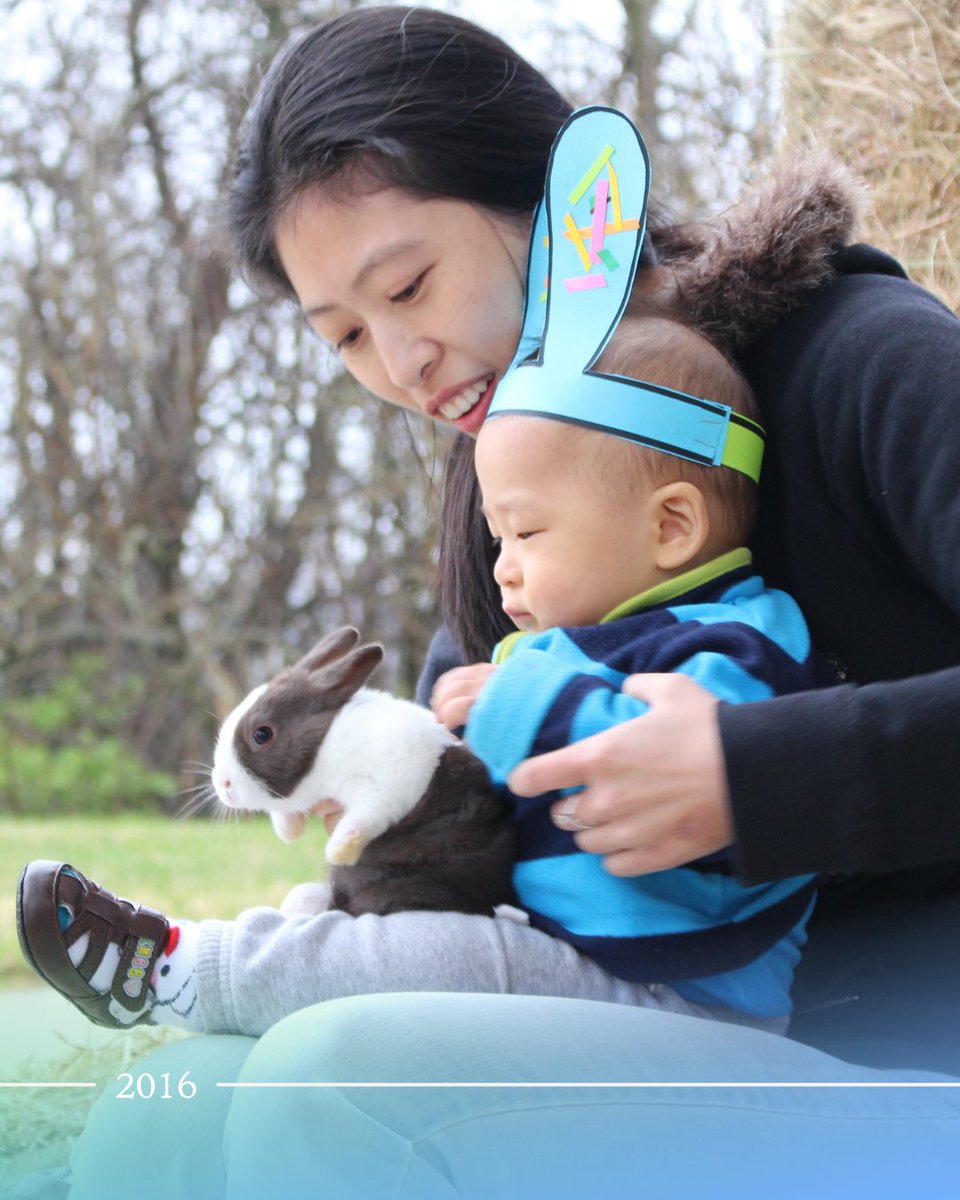 Dole Institute of Politics tweet media