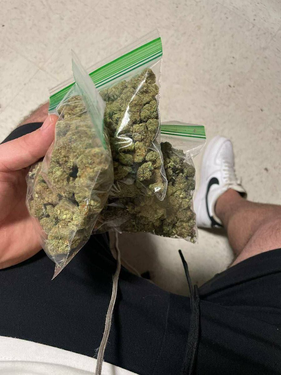 sincity seeds tweet media