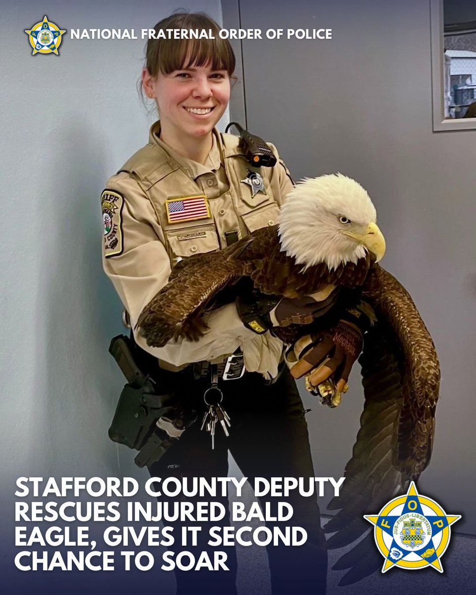 National Fraternal Order of Police (FOP) tweet media