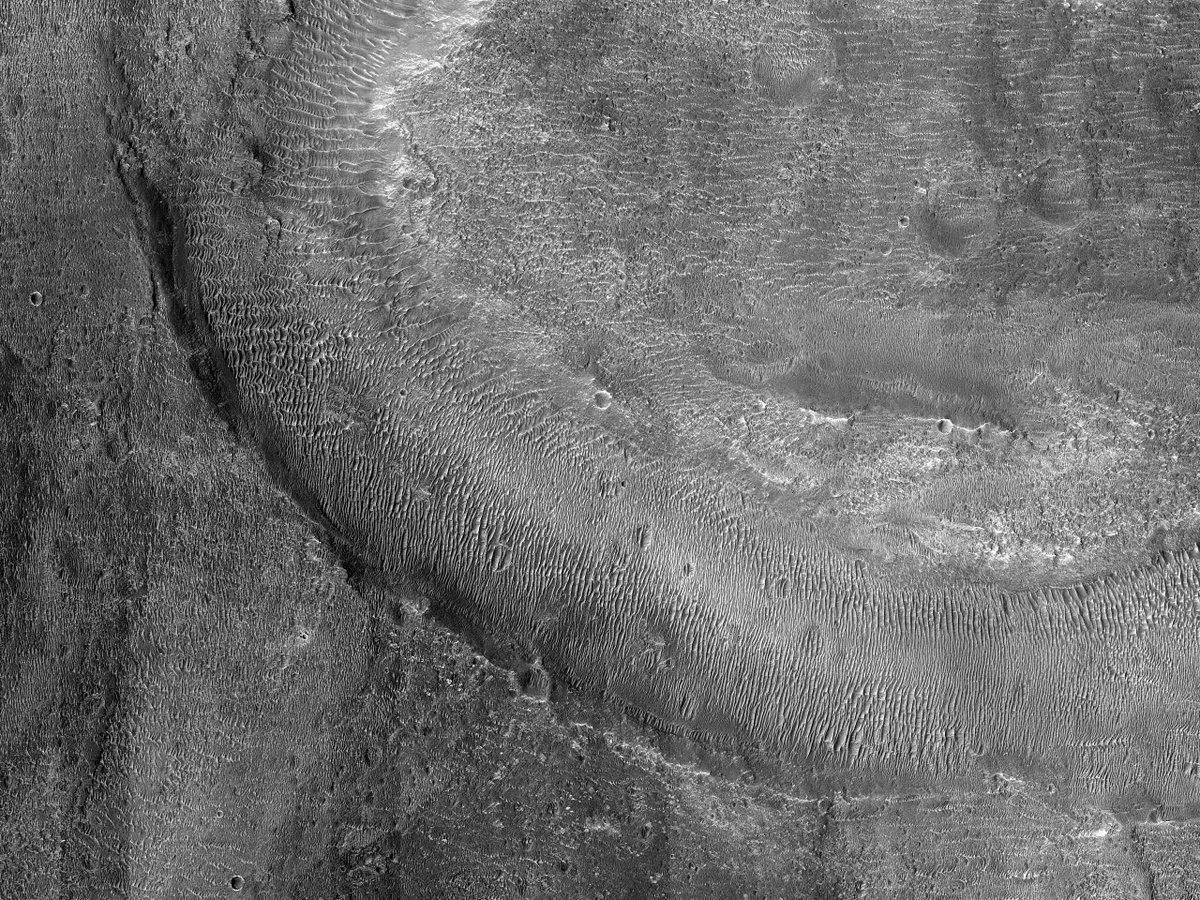 HiRISE's tweet image. HiPOD: Young Fluvial Channels in Margaritifer Terra

Margaritifer Terra is the most impressive water-modified landscape on Mars that preserves the highest density of valley networks on the planet.

uahirise.org/hipod/ESP_0739…
NASA/JPL-Caltech/University of Arizona
#Mars #NASA
