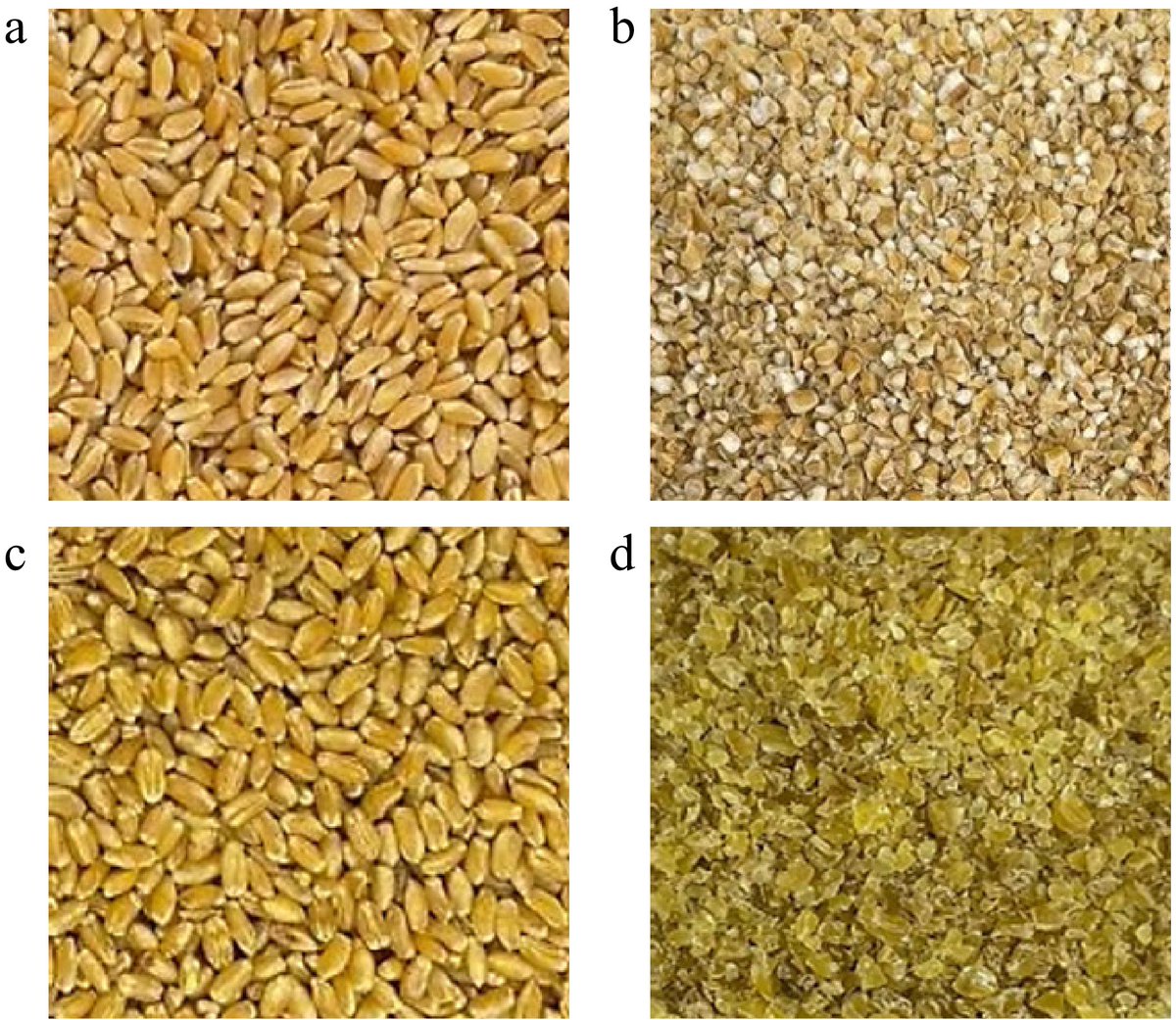 FoodAdvance1's tweet image. #FMR #quality #nutrients #wheat
Bulgur wheat optimized: 59.9°C soak, 13.4 min steam, 54.4°C dry. Nutrients retained, texture improved. Affordable nutrition secured! ✅
@MaximumAcademic @NutritionSoc @gjumofficial
Details: maxapress.com/article/doi/10…