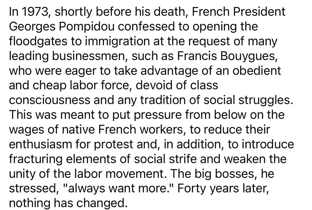 Zarathustra tweet media