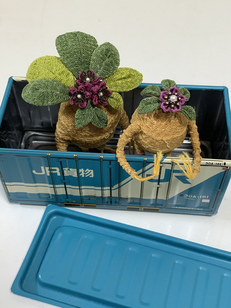 咲々🪷タオ東京4/2昼 tweet media