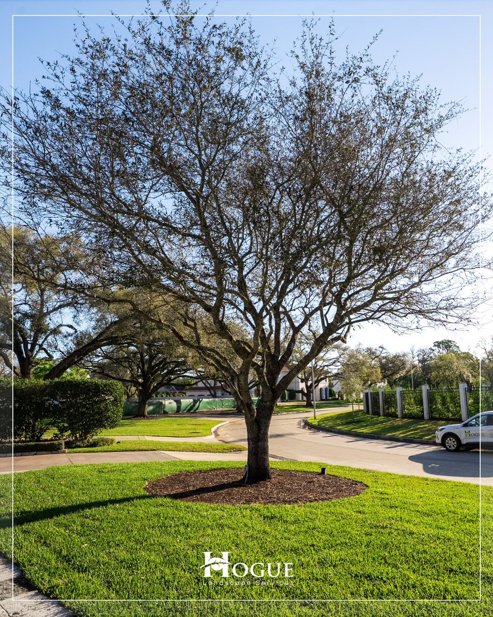 Hogue Landscape Services tweet media