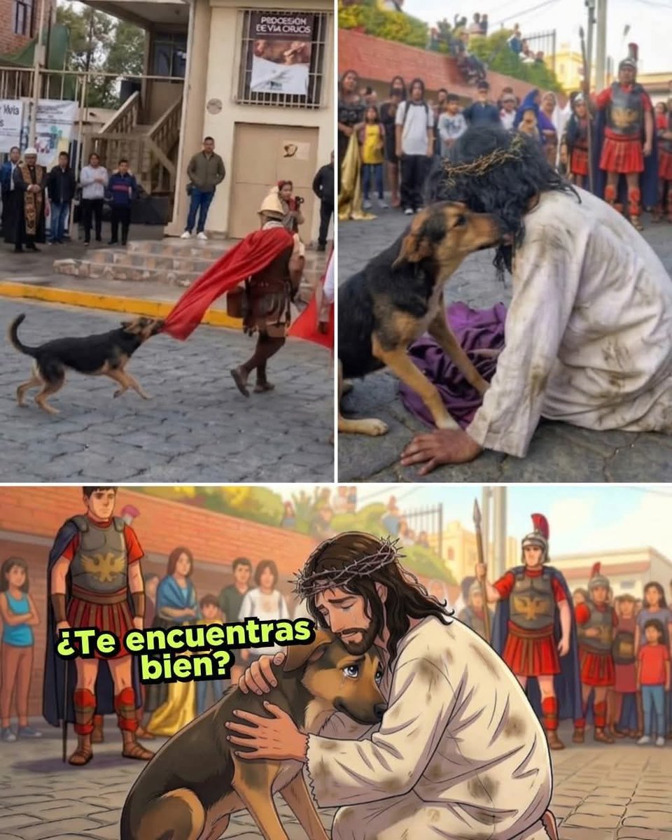 rocio galeano oviedo tweet media