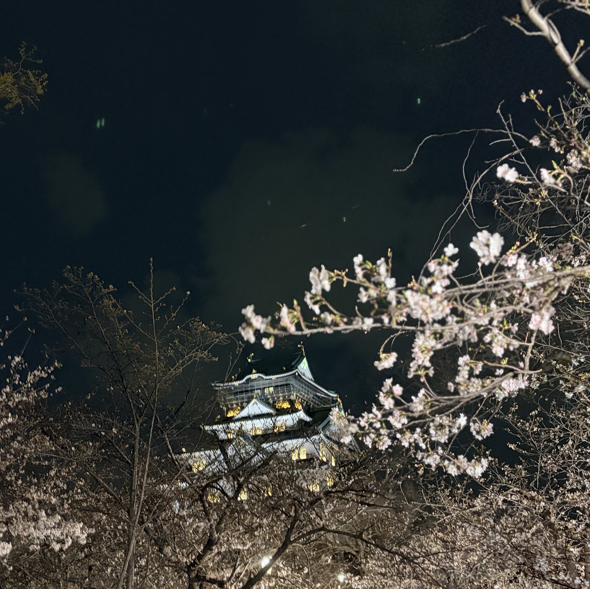 4UM@YummySmile tweet media