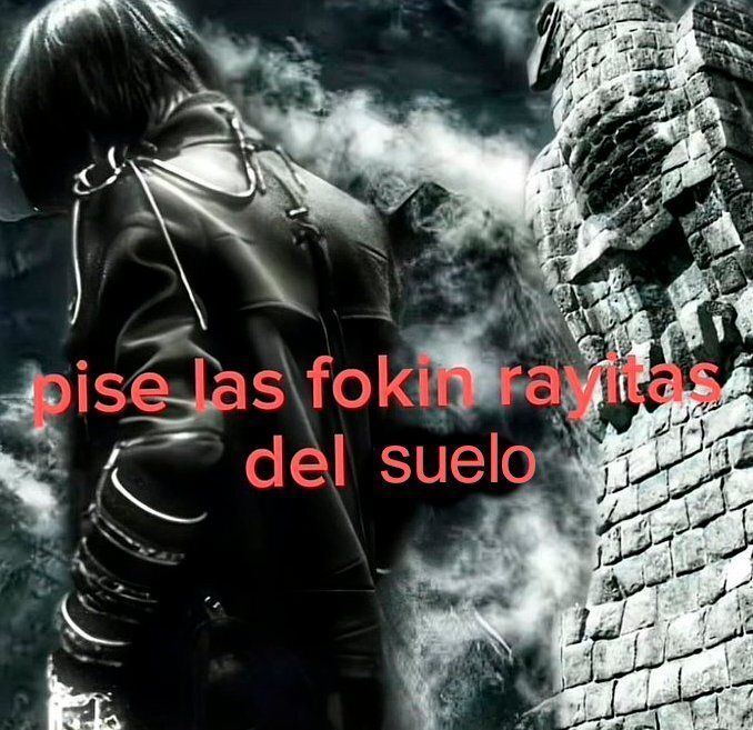 chincheto pirata somali tweet media