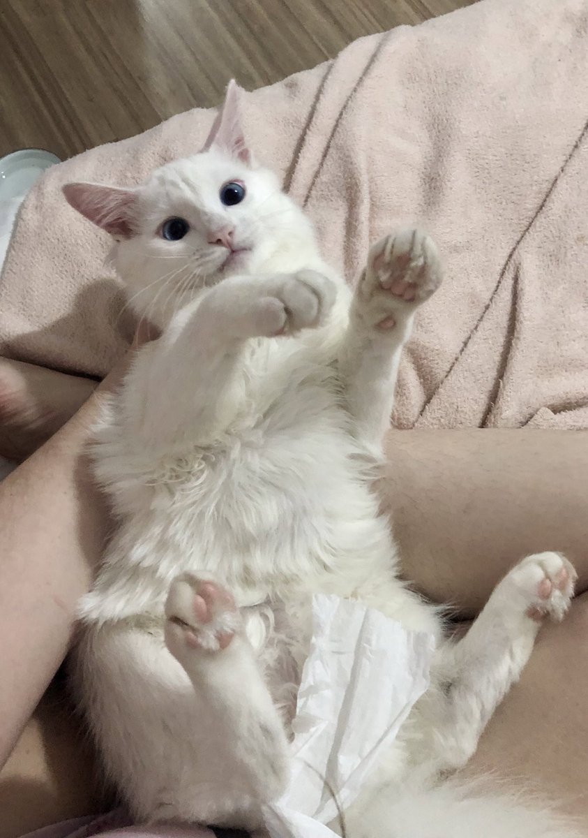 jujuba •୨♡୧• tweet media