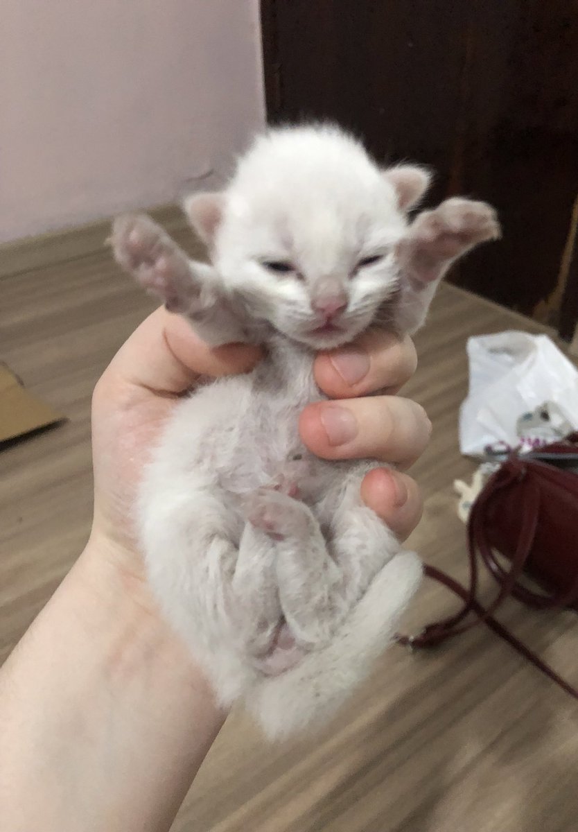 jujuba •୨♡୧• tweet media