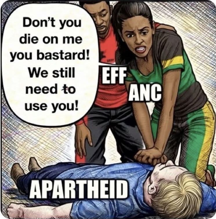 Paula Breytenbach🇿🇦🇺🇸 tweet media