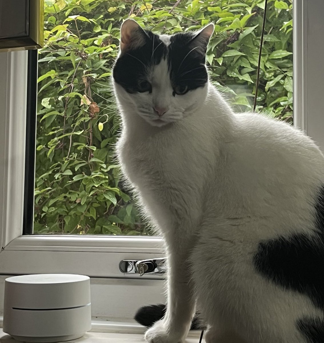 Help2Rehome Scotland tweet media