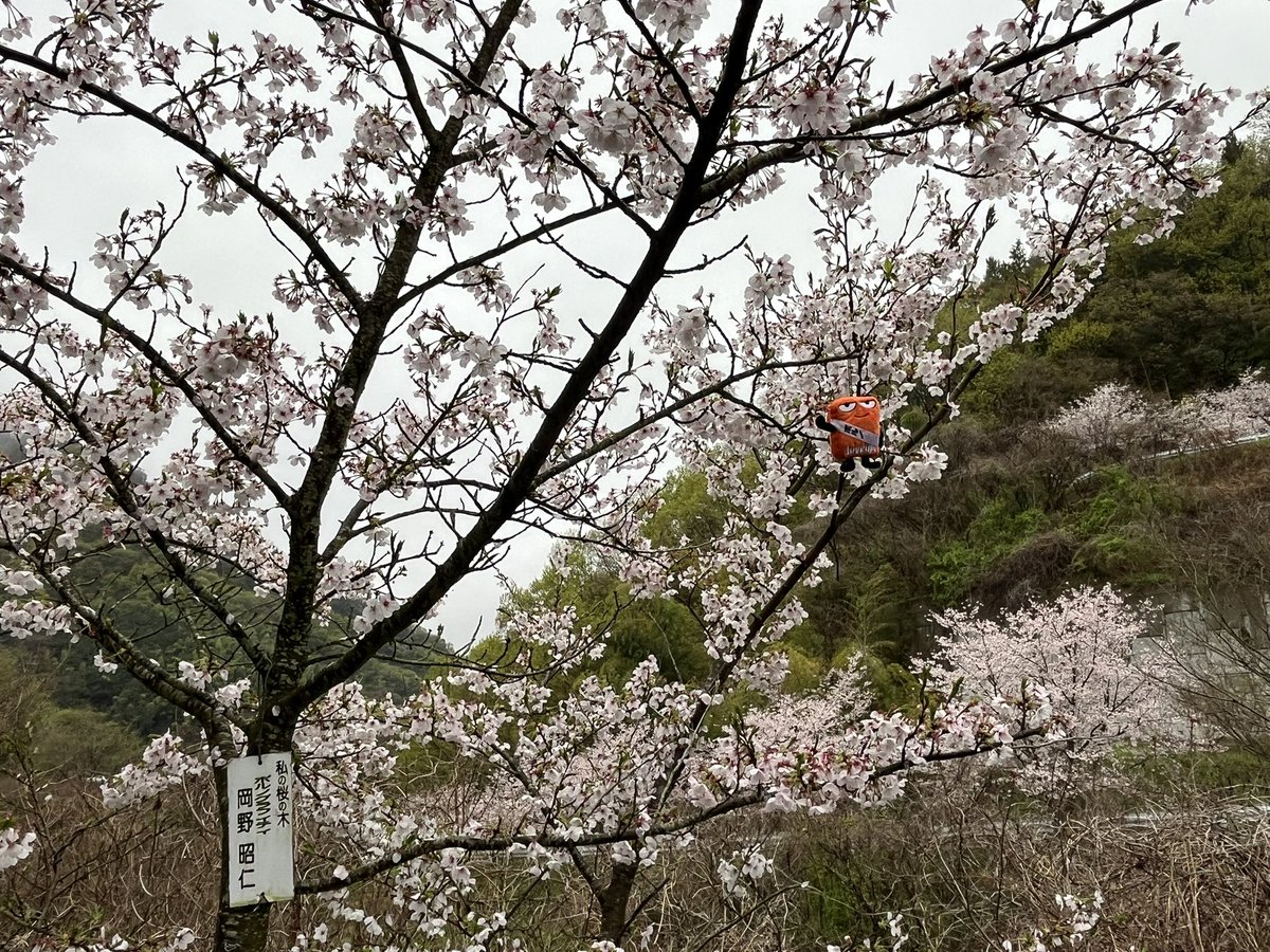 あんらぶ tweet media