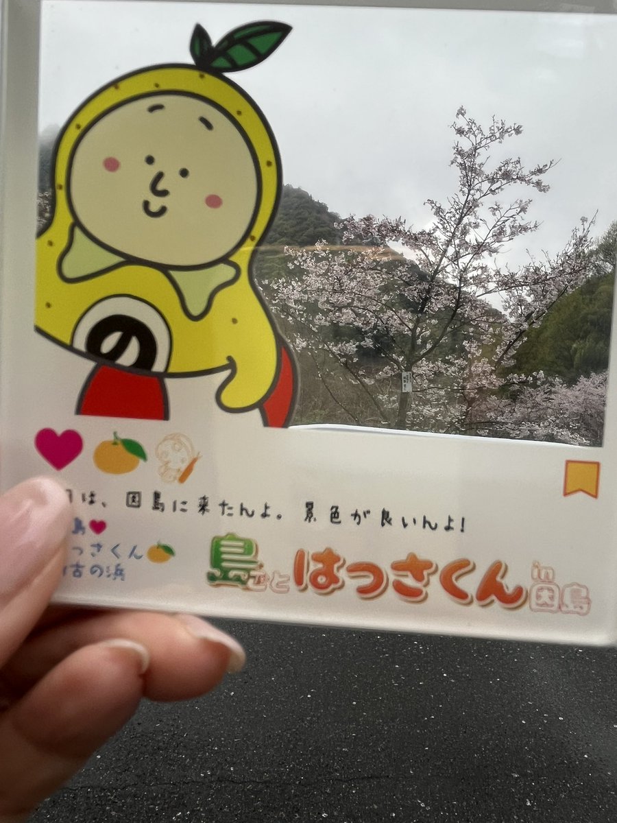 あんらぶ tweet media