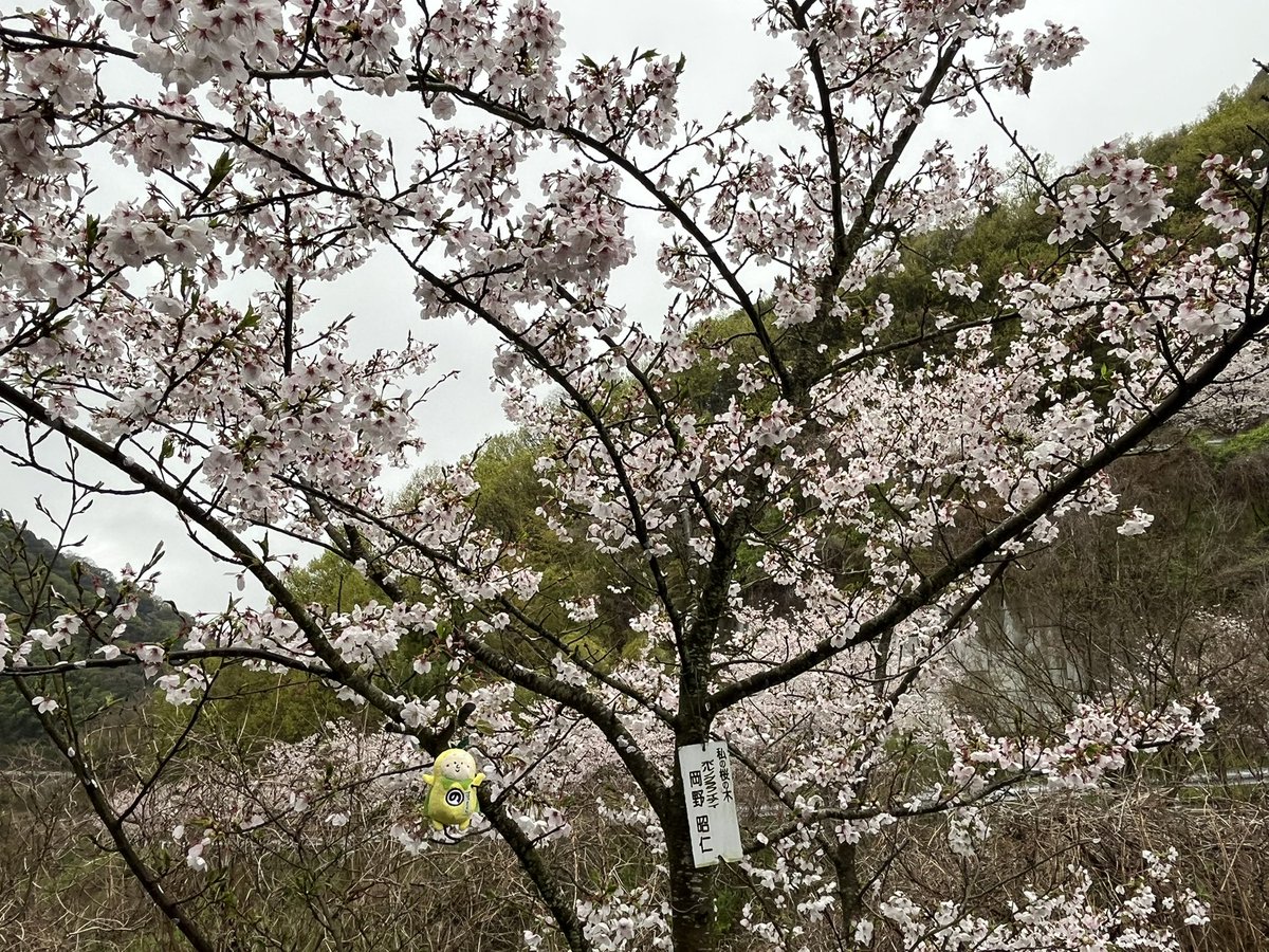 あんらぶ tweet media