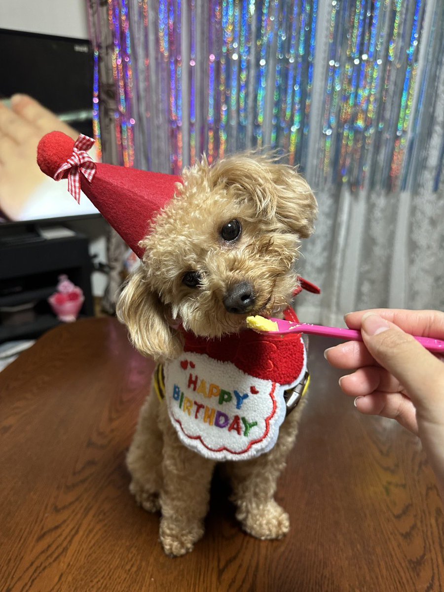 つよし tweet media