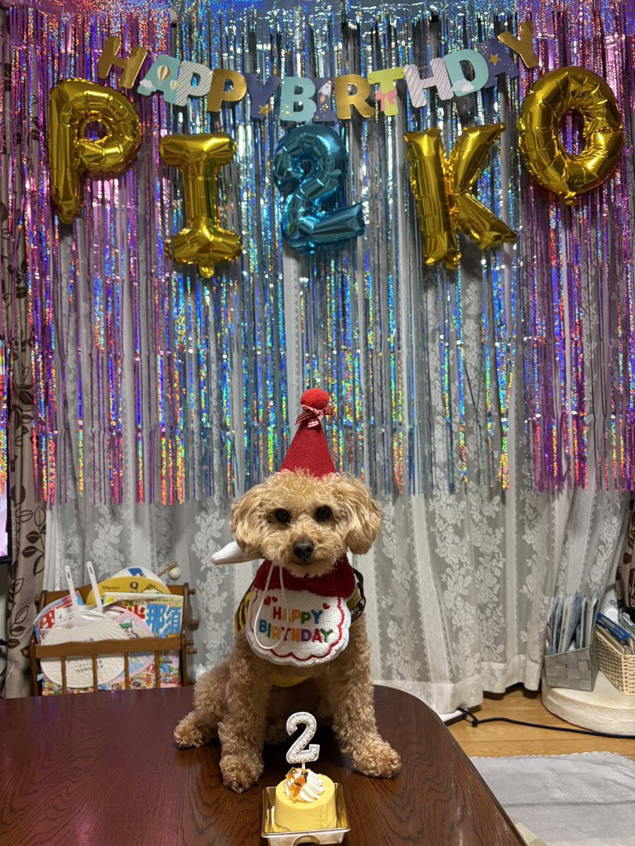 つよし tweet media