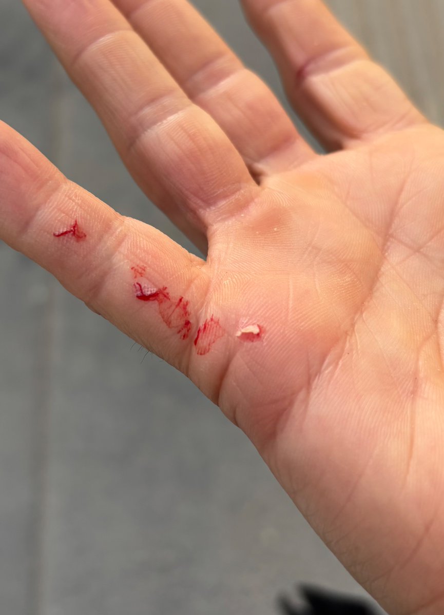 Queen bee🐝 tweet media